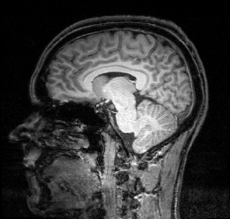 Science as distributed open-sourceknowledge development