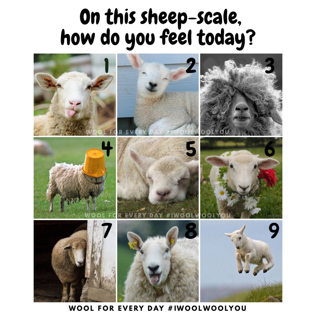 Mood on a sheep scale.