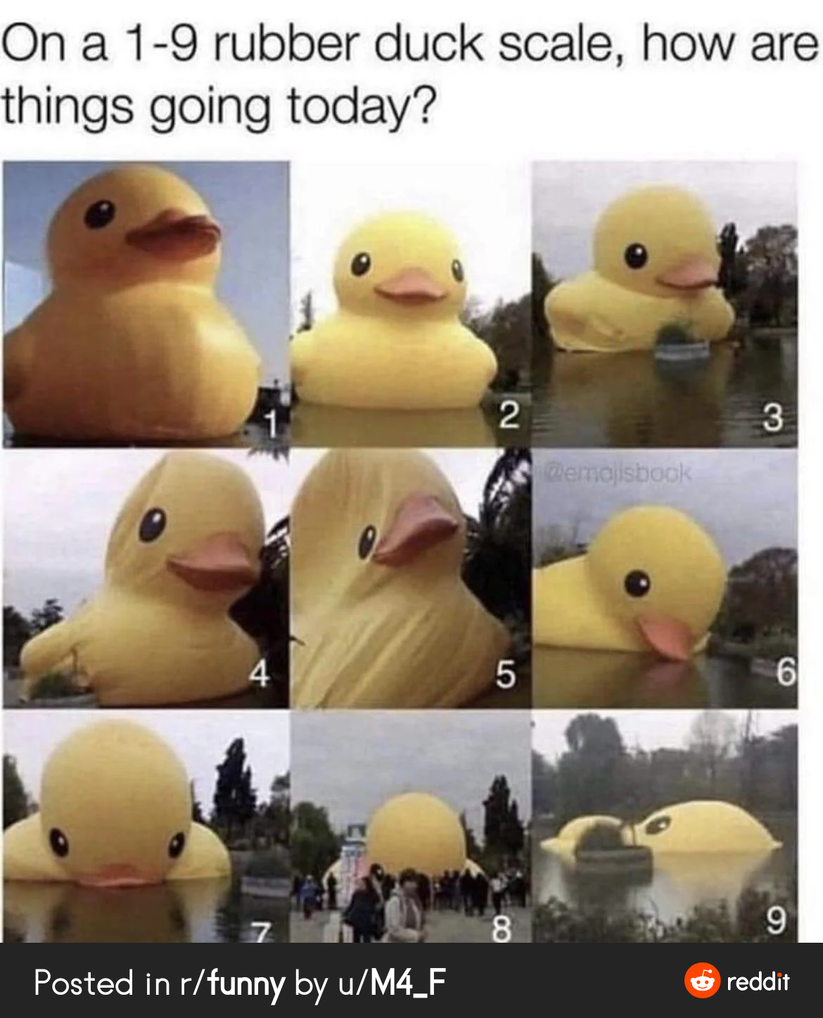 Mood on a rubber duck scale.